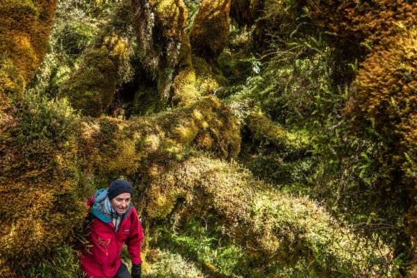 © Centre Terre - Ultima Patagonia